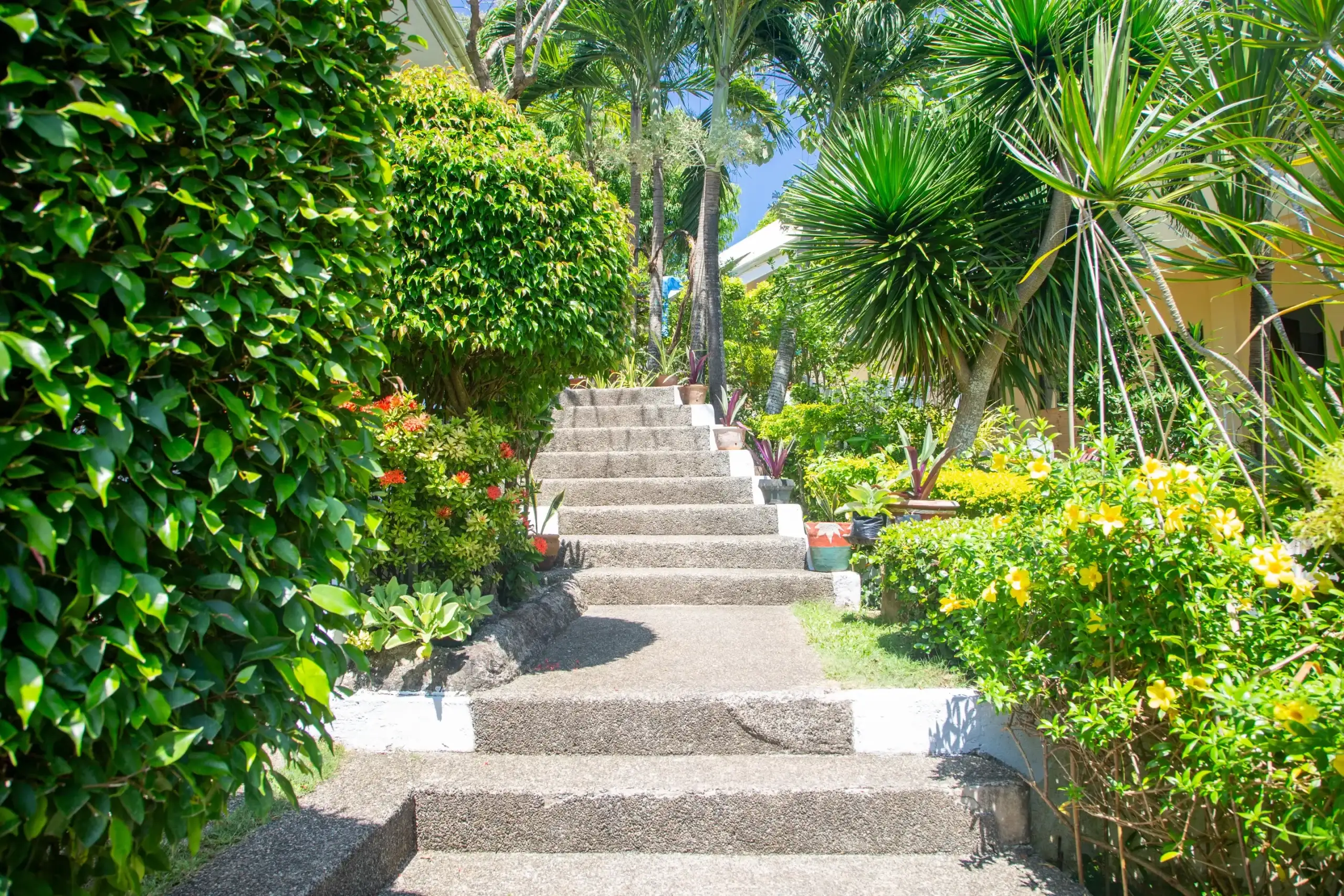Paradise English campus in Boracay